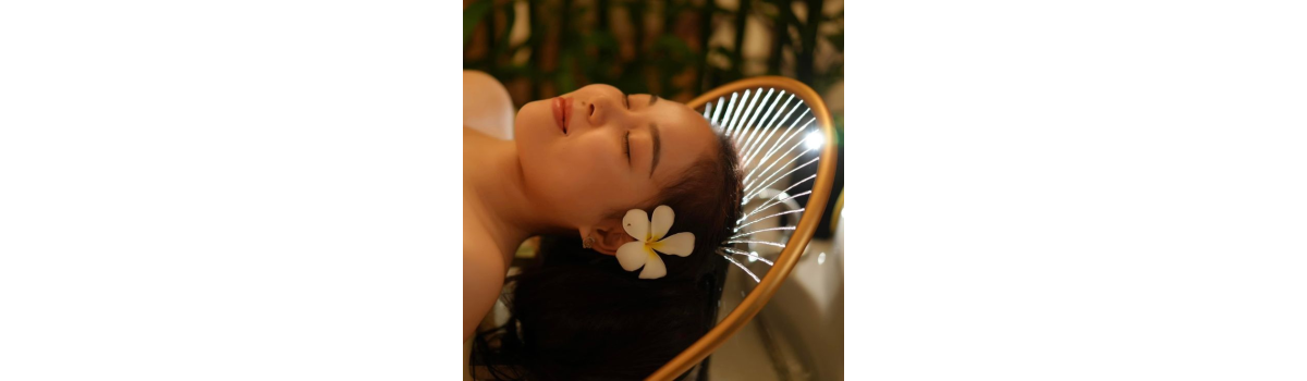 Gội Đầu Dưỡng Sinh